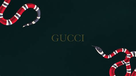 gucci wallpaper swans